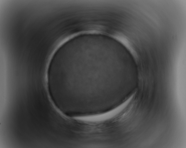 X0000092251335200709211054