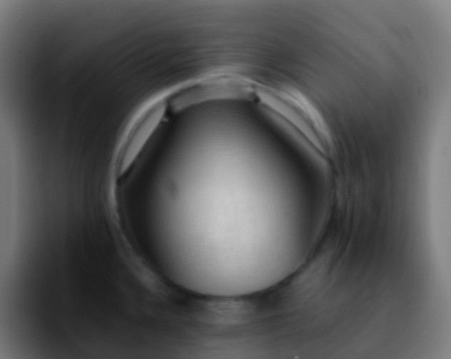 X0000092251336200709211054