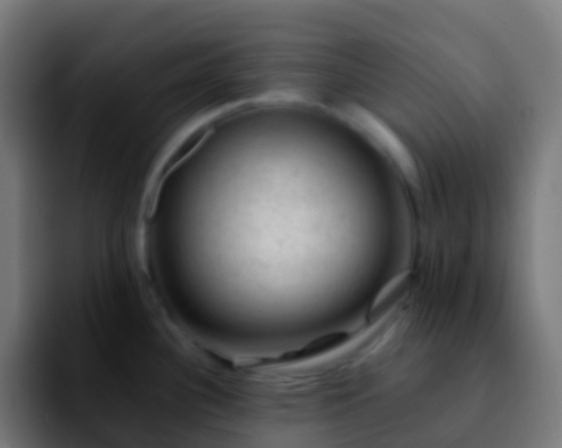 X0000092251340200709211054