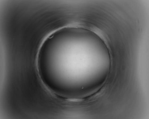 X0000092251344200709211054