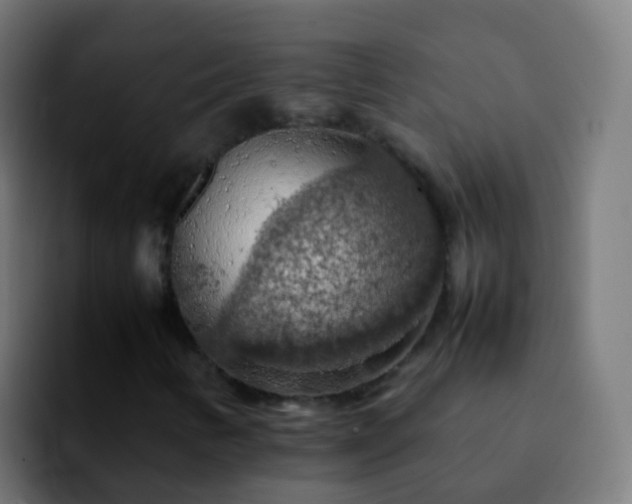 X0000092251346200709211054