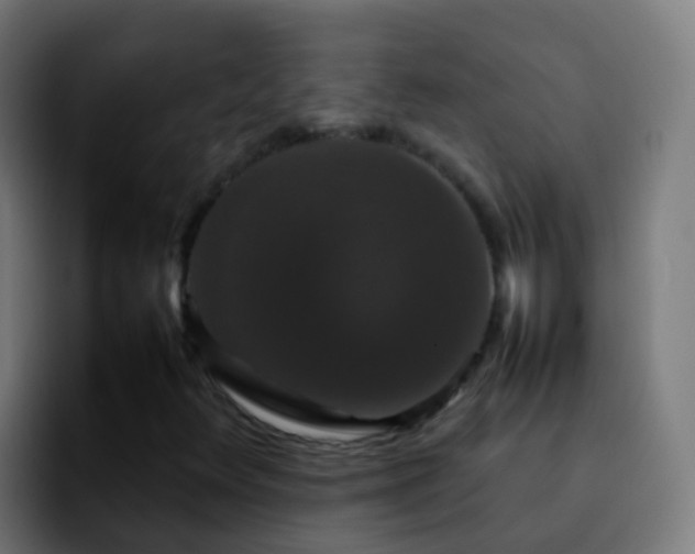 X0000092251348200709211054