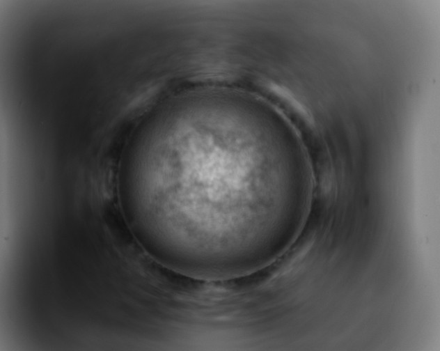 X0000092251350200709211054