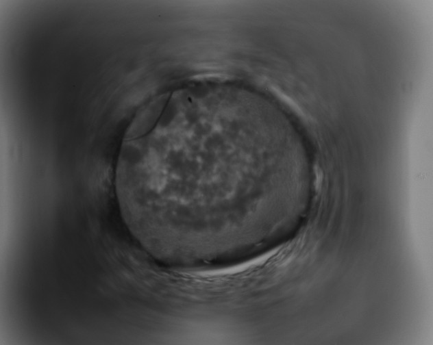 X0000092251351200709211054