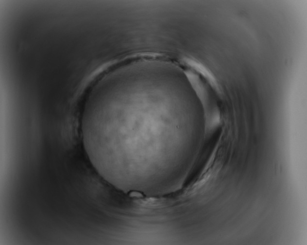 X0000092251352200709211054