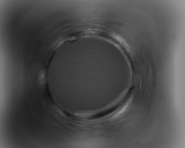 X0000092251353200709211054