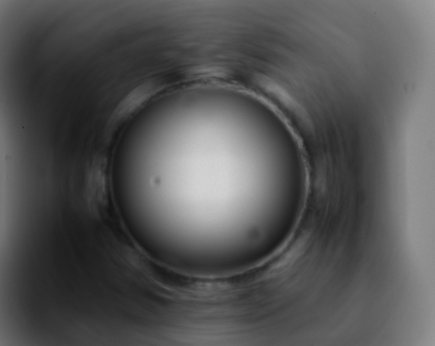X0000092251354200709211054