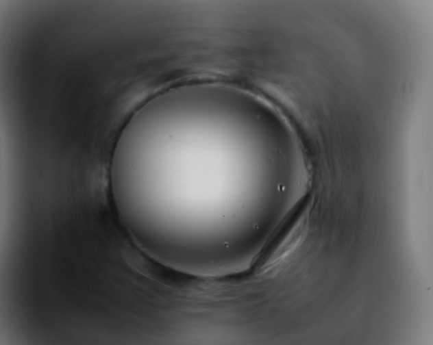 X0000092251355200709211054