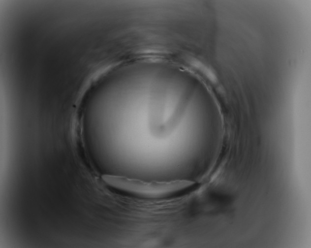 X0000092251357200709211054