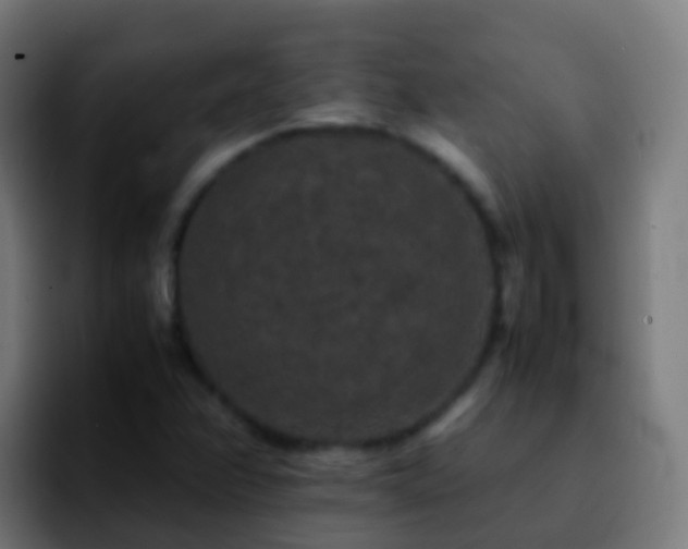 X0000092251358200709211054