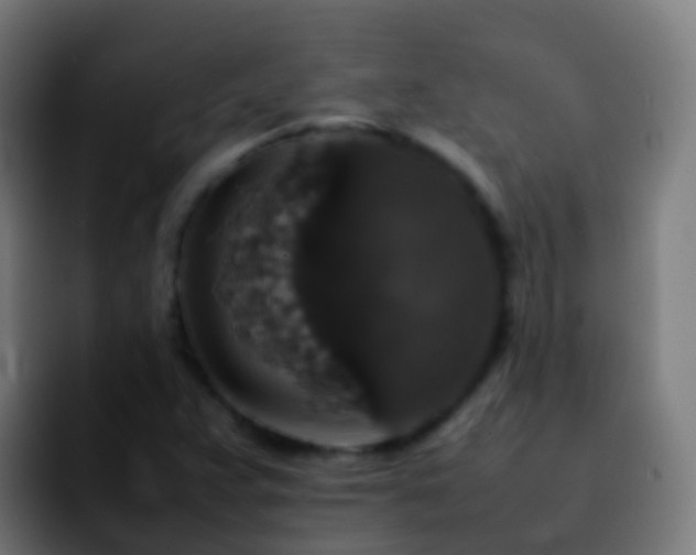 X0000092251359200709211054