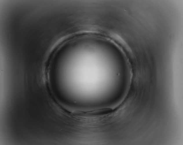 X0000092251360200709211054