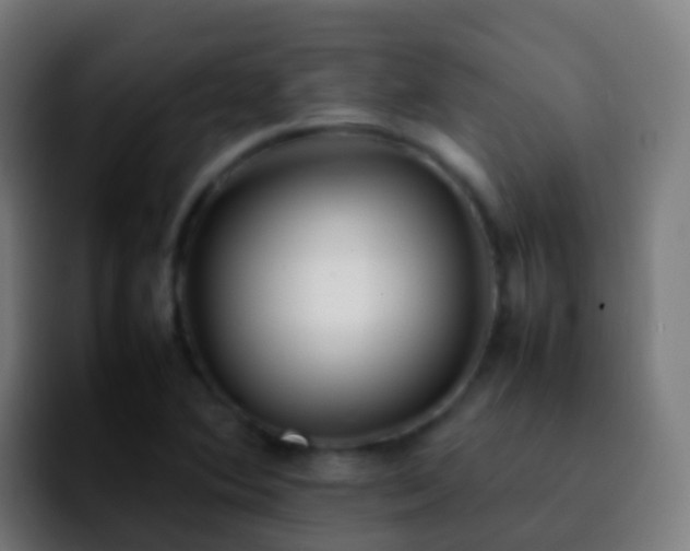 X0000092251364200709211054