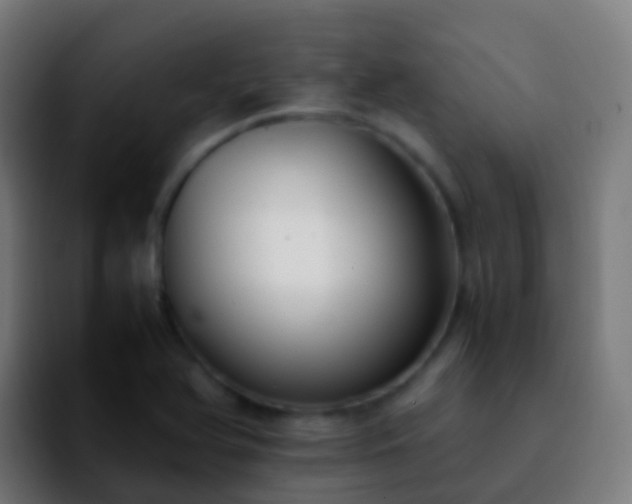 X0000092251366200709211054