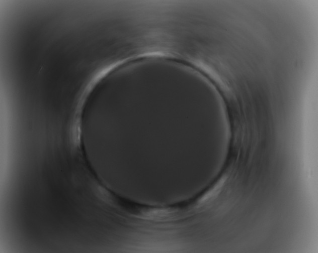 X0000092251367200709211054