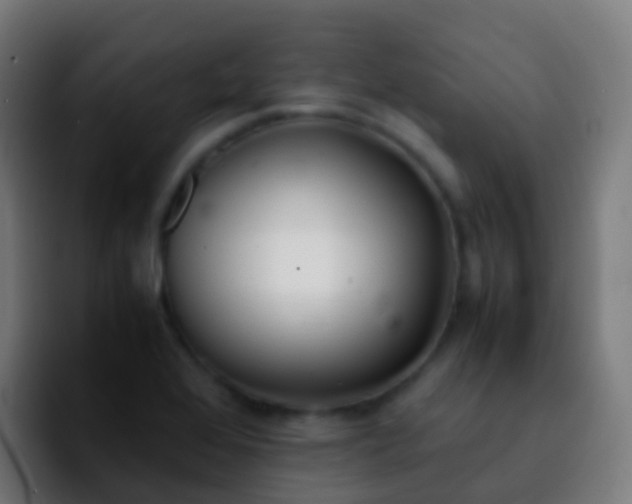 X0000092251368200709211054