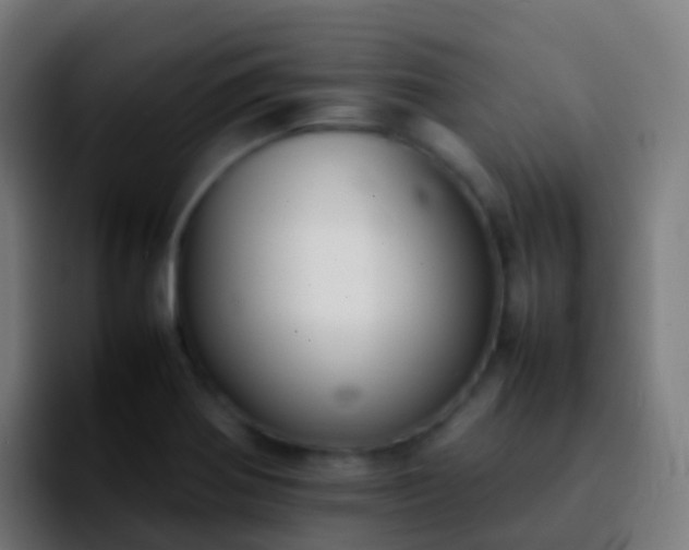 X0000092251370200709211054