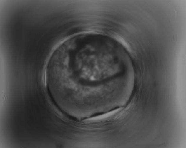 X0000092251371200709211054