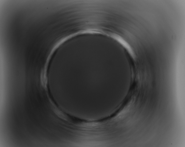 X0000092251372200709211054