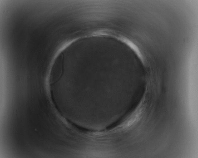 X0000092251373200709211054
