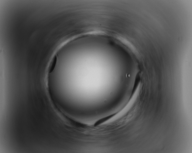 X0000092251375200709211054