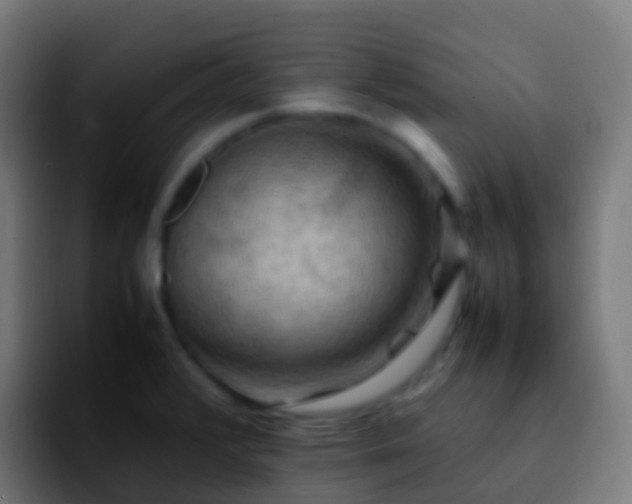 X0000092251376200709211054