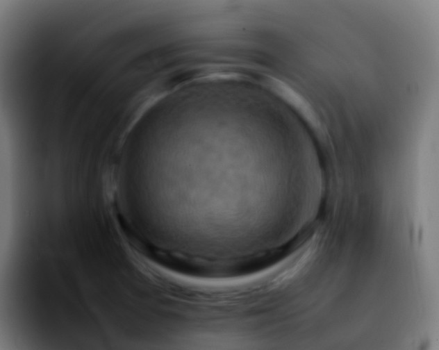 X0000092251377200709211054