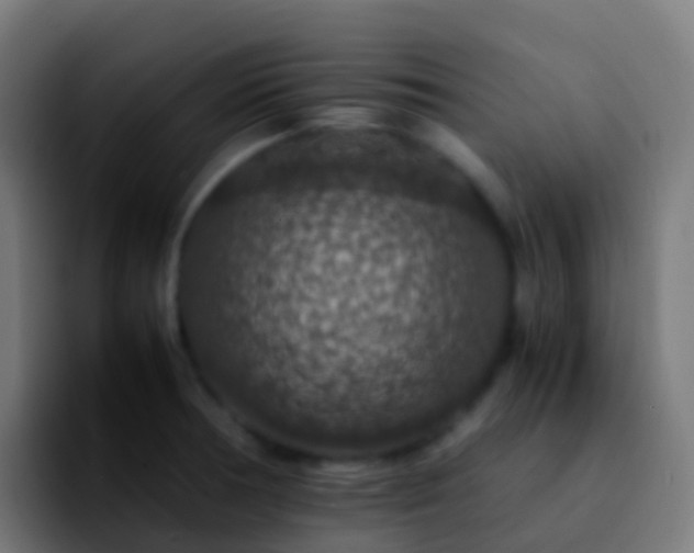 X0000092251378200709211054