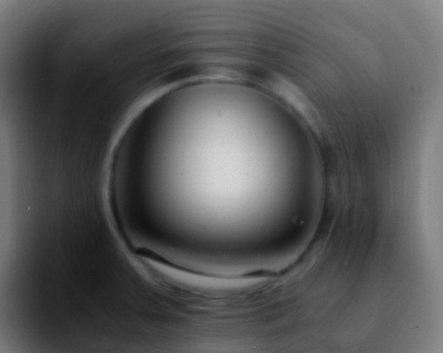 X0000092251379200709211053