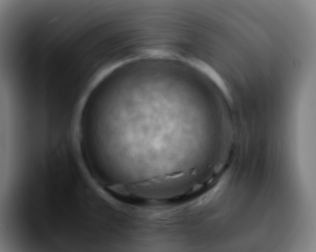 X0000092251381200709211053