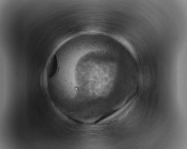 X0000092251382200709211053
