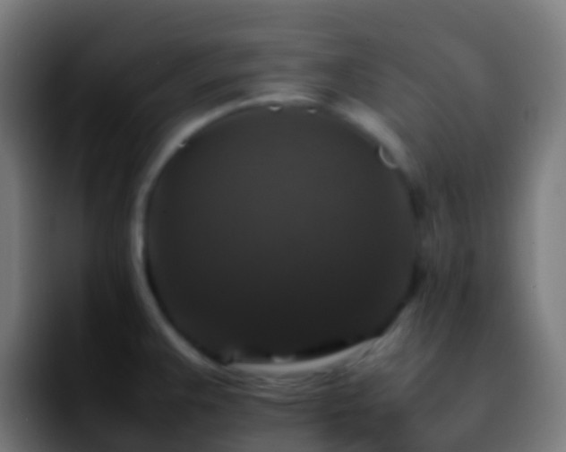X0000092251383200709211053