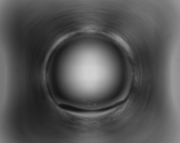 X0000092251384200709211053