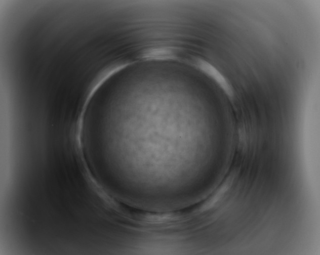 X0000092251386200709211053