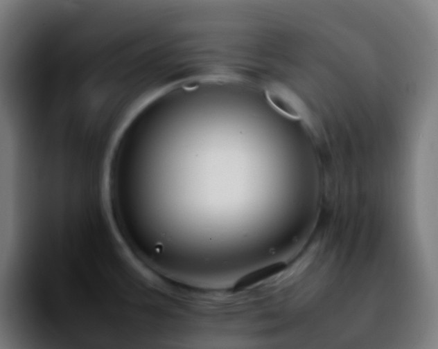 X0000092251387200709211053