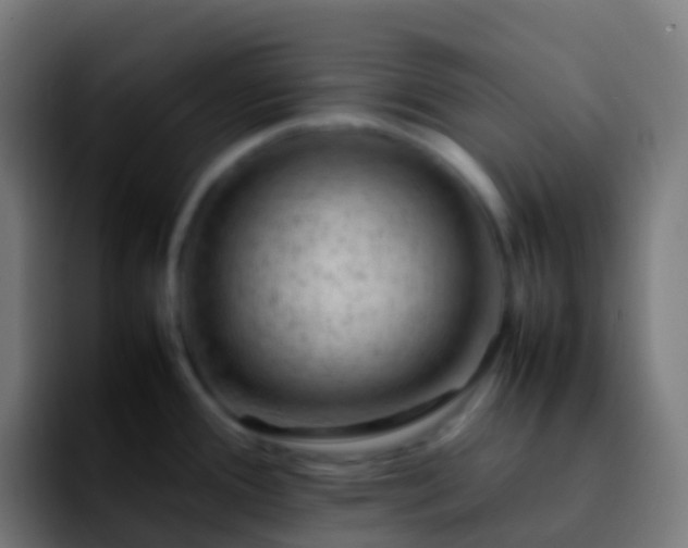 X0000092251388200709211053