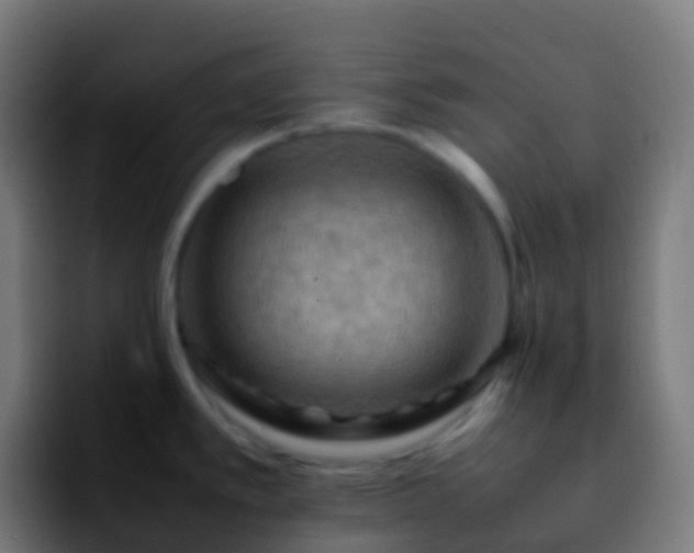 X0000092251389200709211053