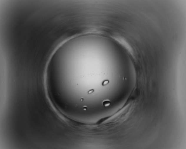 X0000092251391200709211053