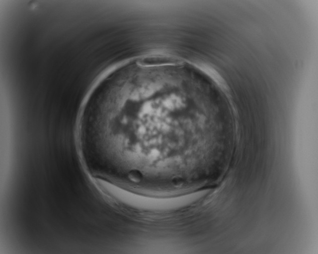 X0000092251392200709211053