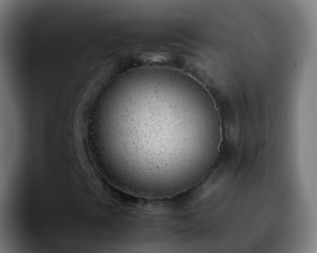 X0000092251393200709211053