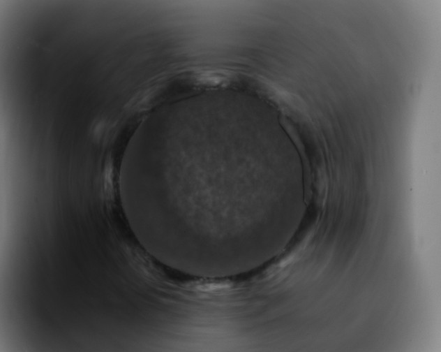 X0000092251394200709211053
