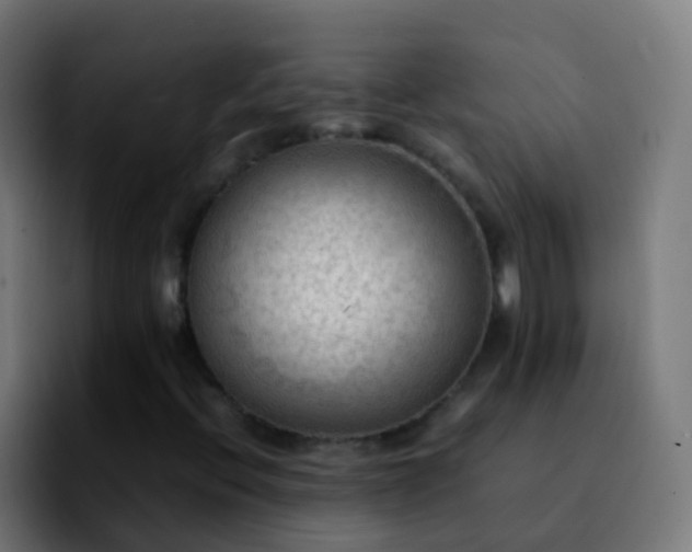 X0000092251396200709211053