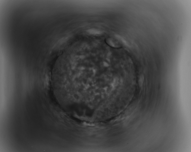 X0000092251397200709211053