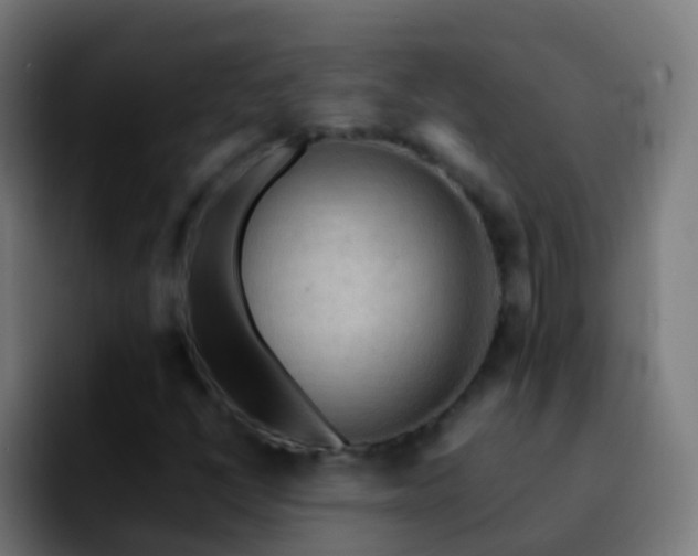 X0000092251398200709211053