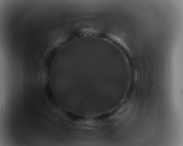 X0000092251399200709211053