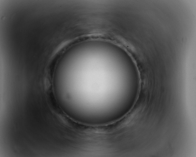X0000092251400200709211053
