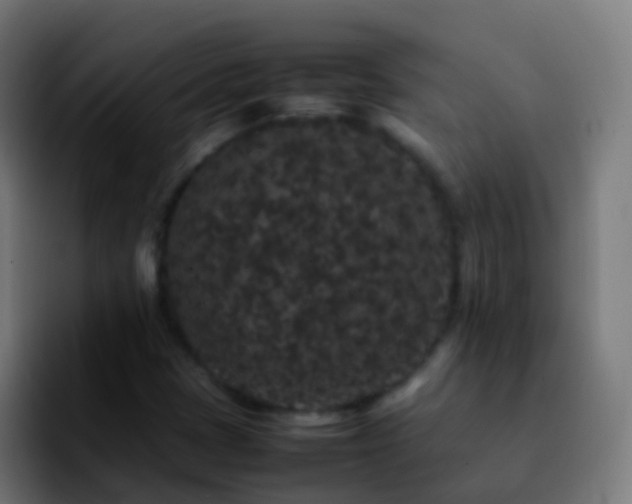 X0000092251401200709211053