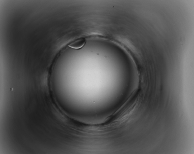 X0000092251404200709211053