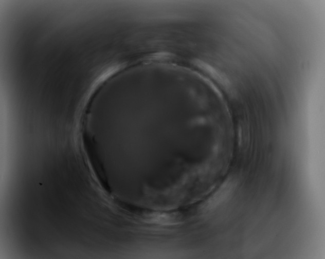 X0000092251405200709211053
