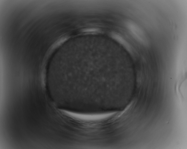 X0000092251411200709211053